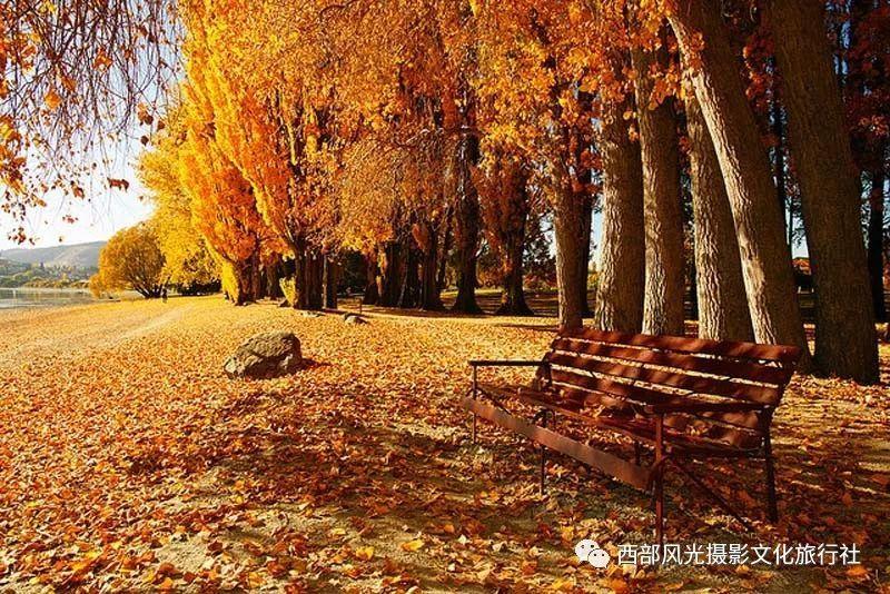 蚌埠2月6日起将对全市高速公路采取临时交通管制